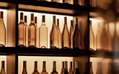 Como proteger adegas, bibliotecas e móveis de madeira contra cupins