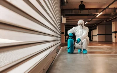 Cupim na garagem ou no subsolo do prédio: o que fazer