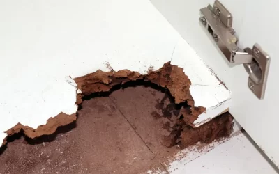 Quais sinais indicam infestação de cupins em portas, rodapés e armários