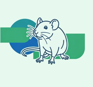 Proteja seu ambiente contra os ratos com uma desratização segura e eficaz.